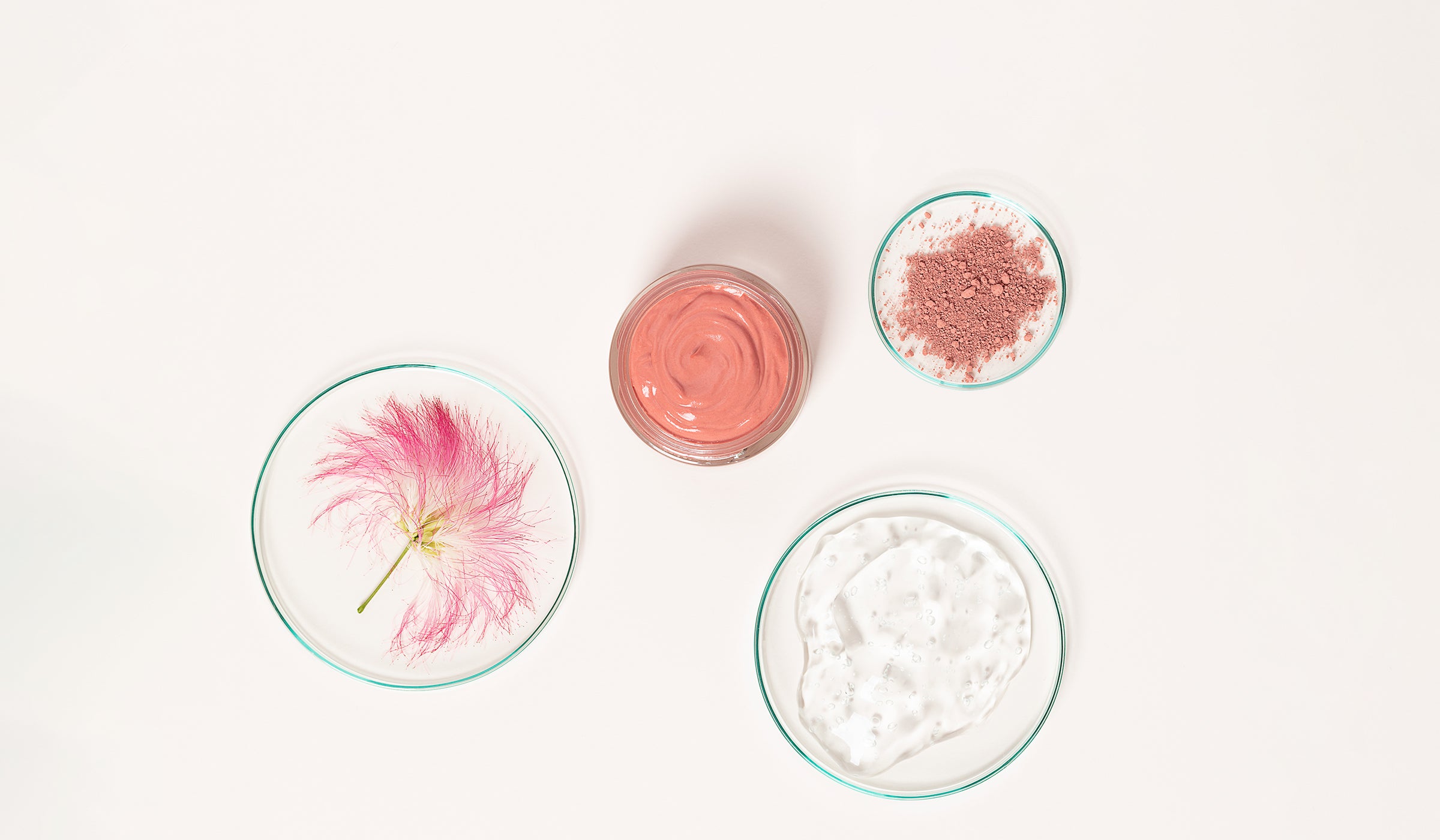 Soin blush de peau embryolisse ces ingrédients naturels et actifs star acide hyalurinique, arbre à soie, pigments roses et nacres illuminatrices